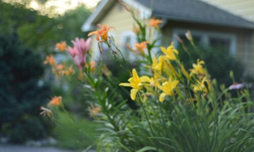 Aranżacje ogrodów przy domu jednorodzinnym – inspiracje i praktyczne rozwiązania