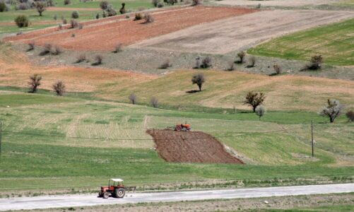 Co można wybudować na działce rolnej zgodnie z przepisami?