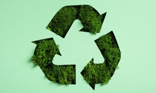 Gdzie wyrzucić opakowanie po lakierze do włosów – recykling krok po kroku